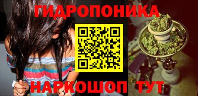 крисы Янаул