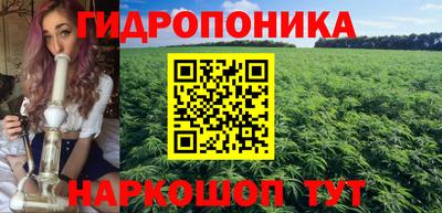 крисы Янаул