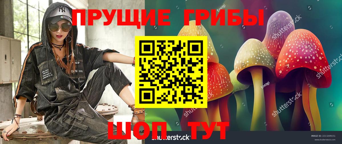 Галлюциногенные грибы Magic Shrooms Пушкино