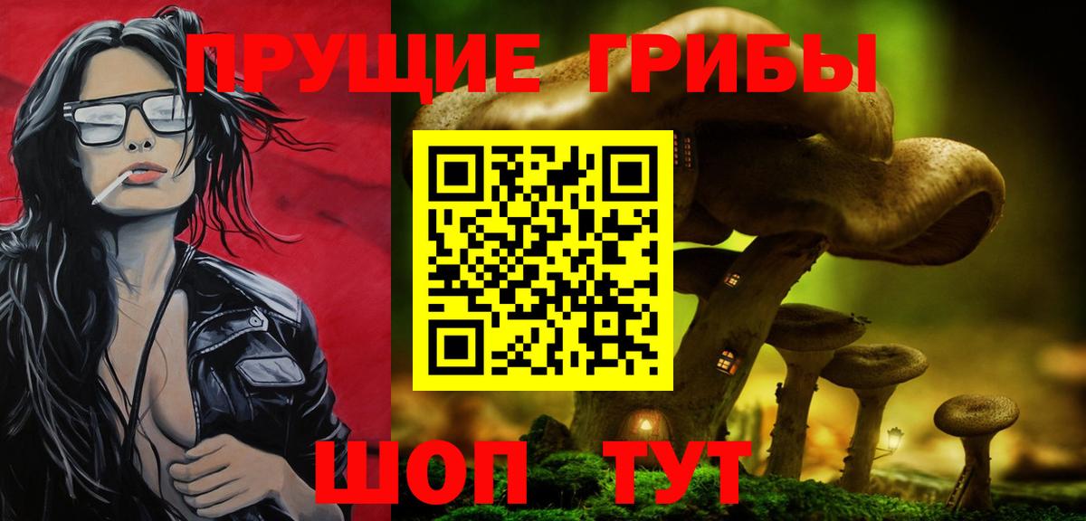 Псилоцибиновые грибы GOLDEN TEACHER  Вход с VPN  Пушкино 